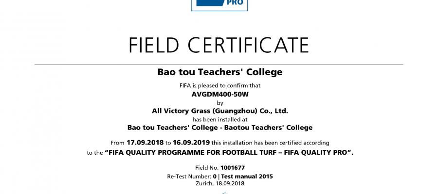 Bao tou Teachers' College, AVG, cỏ nhân tạo AVG