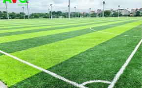 Dự án cụm sân bóng ven đê 4 Long Biên, Hà Nội