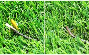 Tính năng chống cháy của cỏ nhân tạo có vai trò gì trong việc phòng cháy?