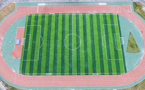 Cỏ nhân tạo được ứng dụng trong những lĩnh vực nào?