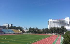 Làm thế nào để nâng cao trải nghiệm thể thao trên sân cỏ nhân tạo? Làm thế nào để nâng cao trải nghiệm thể thao trên sân cỏ nhân tạo?