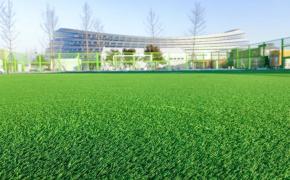 Thư cảm ơn từ Cung trượt băng tốc độ quốc gia Ice Ribbon (Trung Quốc) Thư cảm ơn từ Cung trượt băng tốc độ quốc gia Ice Ribbon (Trung Quốc)