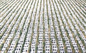 Cách chọn loại đế cỏ phù hợp Cách chọn loại đế cỏ phù hợp