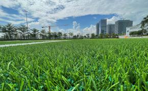 Điều kiện đối với sân bóng cỏ nhân tạo để được cấp chứng chỉ FIFA? Điều kiện đối với sân bóng cỏ nhân tạo để được cấp chứng chỉ FIFA?