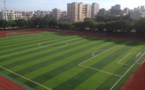 Tìm hiểu về cỏ nhân tạo, hướng dẫn lắp đặt, sử dụng và chăm sóc cỏ nhân tạo AVG