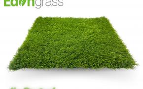 cỏ nhân tạo AVG, AVG Since 1982