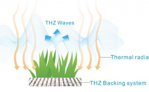 THz Grass- Sản phẩm mới phát triển của AVG