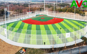 cỏ nhân tạo AVG, AVG Since 1982