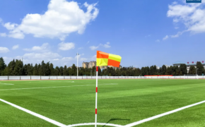 cỏ nhân tạo AVG, AVG Since 1982