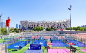 cỏ nhân tạo AVG, AVG Since 1982