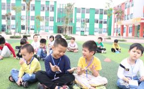 Cỏ nhân tạo có gây dị ứng da không?