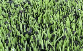 Cỏ nhân tạo thông thường, Cỏ not-infill