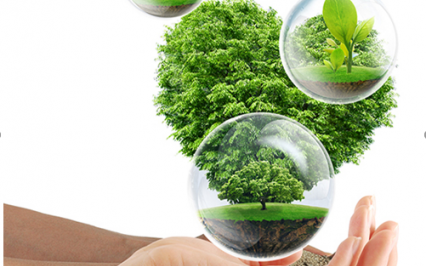 cỏ nhân tạo AVG, AVG Since 1982