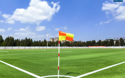 cỏ nhân tạo AVG, AVG Since 1982