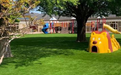 Cỏ nhân tạo sử dụng trong trường mầm non có an toàn không? 