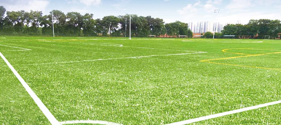 Dự án sân bóng FIFA 