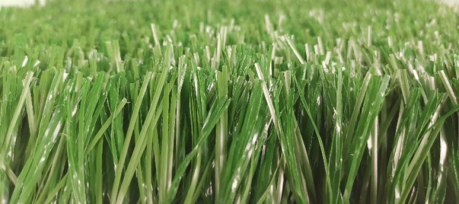 Dòng cỏ Combination 168