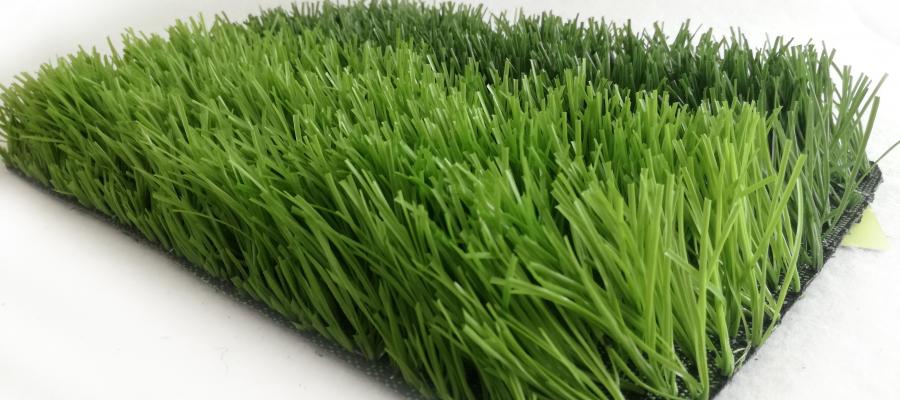 Dòng cỏ Classic 120