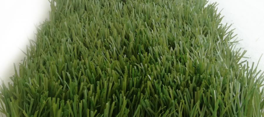 Dòng cỏ Stem 3D-130