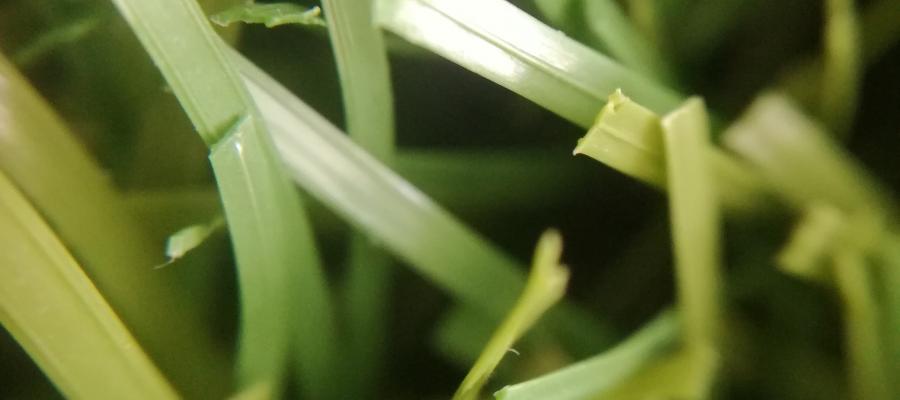 Dòng cỏ Stem 3D-130