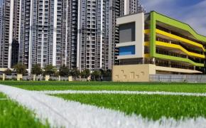 Những yếu tố quyết định giá của cỏ nhân tạo