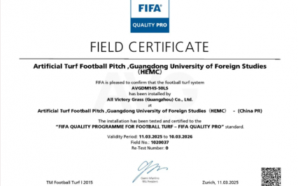 cỏ nhân tạo AVG, AVG Since 1982