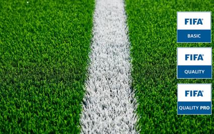 FIFA Basic